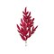 Burgundy Glitter Bay Leaf Spray 32 Inch Holiday Stem-XS235305